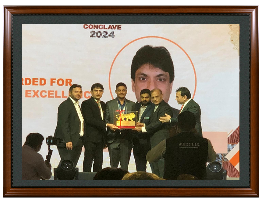 Business excellence award